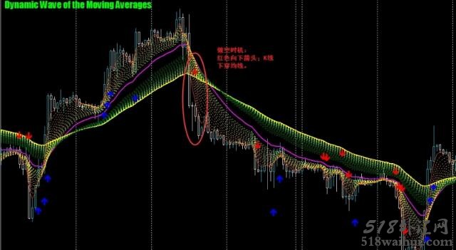 Dynamic Wave of the Moving Averages外汇交易系统下载