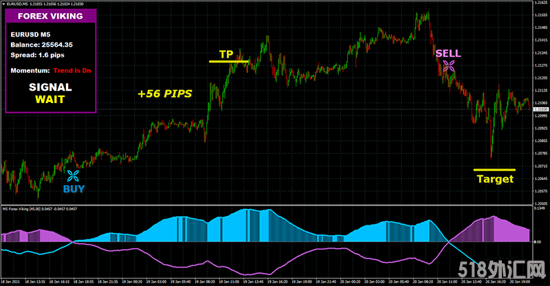FOREX VIKING PRO一款没有未来函数的外汇交易系统